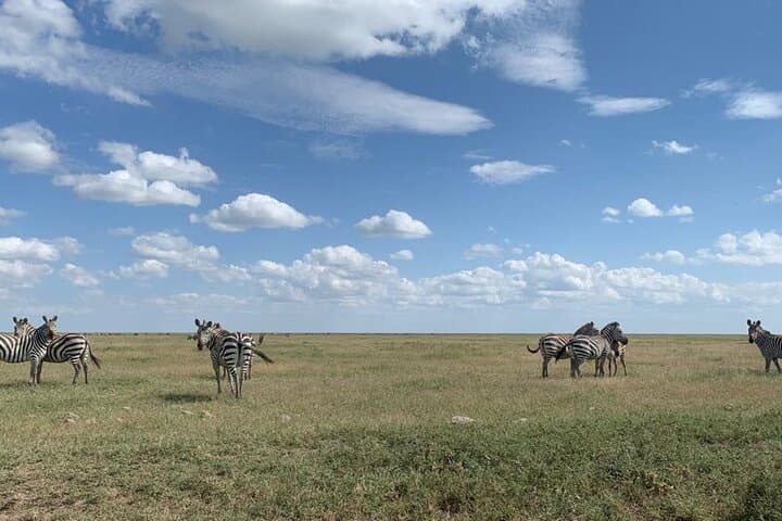 3-Day Camping Safari: Tarangire, Ngorongoro Crater & Lake Manyara photo 2