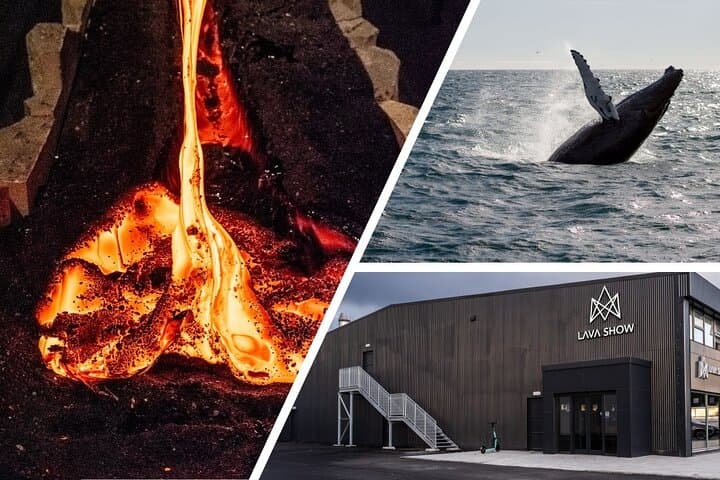 Reykjavik Whale Watching and Live Lava Show Combo: Harbor Wildlife & Volcano Demo photo 1