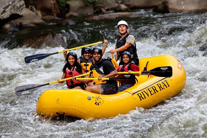Upper Pigeon River Rafting: 2-Hour Class III–IV Trip in the Smoky Mountains photo 2