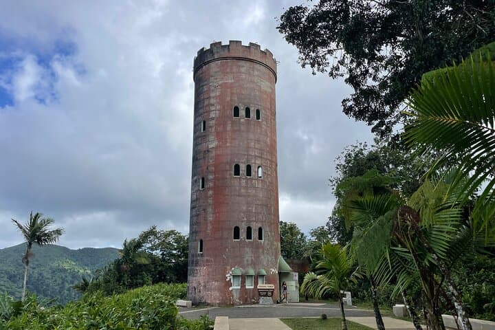 Private Half-Day El Yunque Rainforest Tour — Yokahu Tower, Waterfalls & Short Hike photo 4