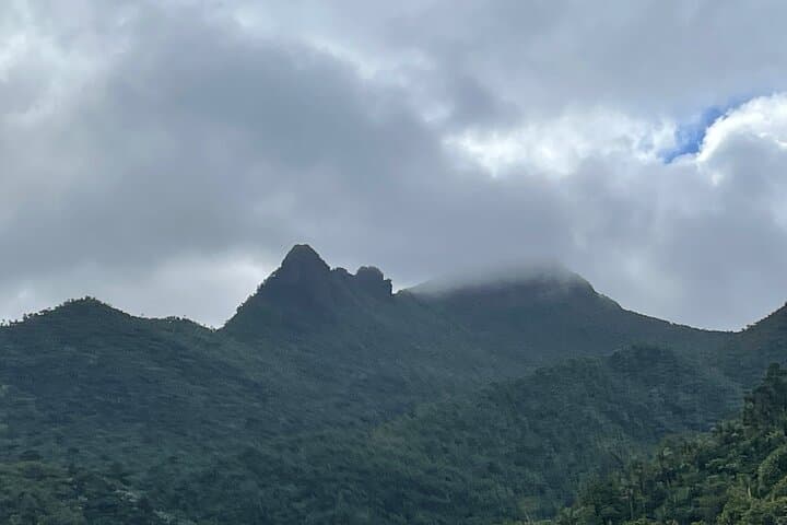 Private Half-Day El Yunque Rainforest Tour — Yokahu Tower, Waterfalls & Short Hike photo 6