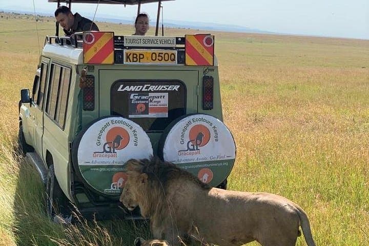 5-Day Aberdare, Lake Nakuru & Masai Mara Safari from Nairobi photo 4