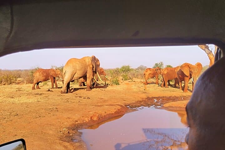 3-Day Tsavo East & Taita Hills Safari to Saltlick Lodge from Malindi photo 6