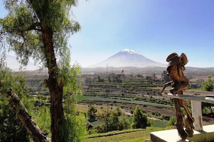 Arequipa Half-Day City Tour: Yanahuara, Carmen Alto & Paucarpata photo 4