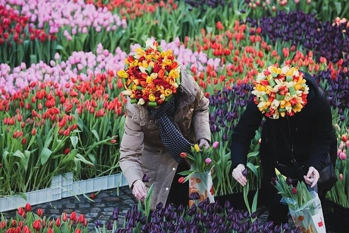Amsterdam Day Trip to Keukenhof & Zaanse Schans — Windmills, Cheese and Canal Cruise photo 4