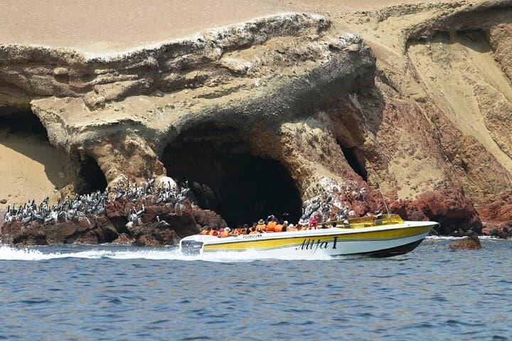 2-Day Paracas, Huacachina & Nazca Tour: Ballestas Islands, Dune Buggies & Nazca Flight photo 3