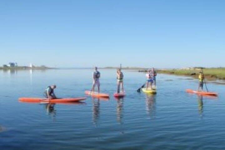 Guided SUP and Kayak Tour Pelican Bay Fort Myers Beach — 1-Hour Mangrove Paddle photo 4