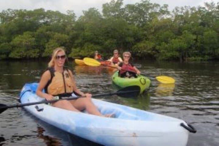 Guided SUP and Kayak Tour Pelican Bay Fort Myers Beach — 1-Hour Mangrove Paddle photo 5