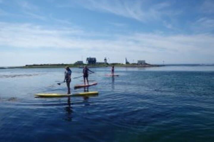 Guided SUP and Kayak Tour Pelican Bay Fort Myers Beach — 1-Hour Mangrove Paddle photo 6