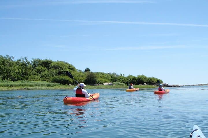 Guided SUP and Kayak Tour Pelican Bay Fort Myers Beach — 1-Hour Mangrove Paddle photo 2