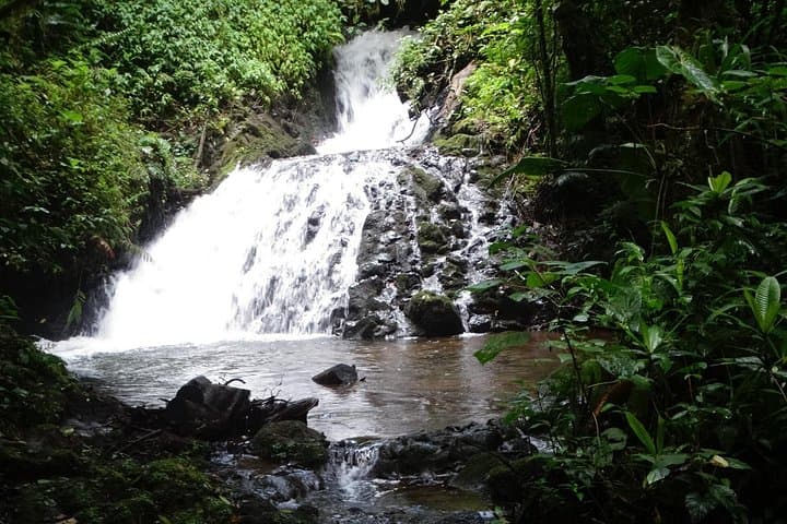 Hiking El Quetzal Private Reserve: Birding Trails Near San José photo 1