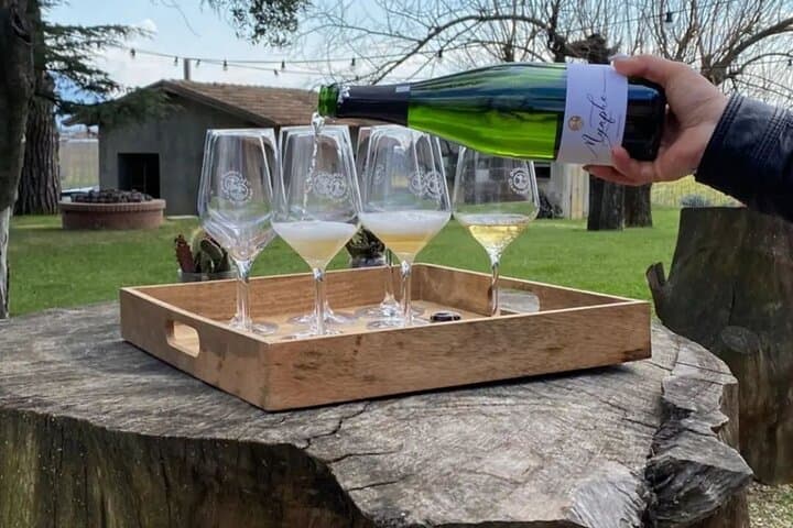 Agro Pontino Minibus Tour with Wine Tasting photo 3