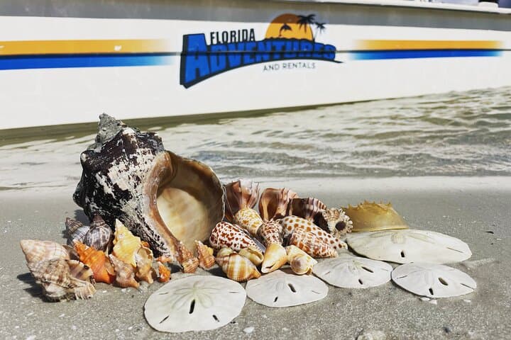 Ten Thousand Islands Shelling & Wildlife Cruise from Marco Island photo 2
