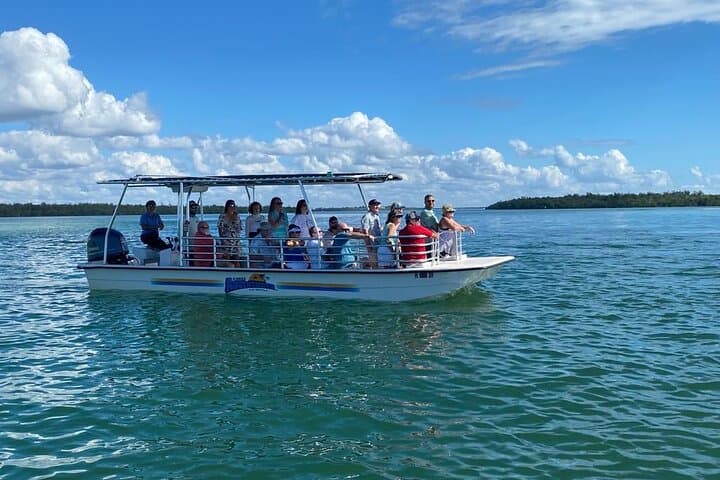 Marco Island Dolphin Sightseeing Tour: 2-Hour Ten Thousand Islands Cruise photo 4