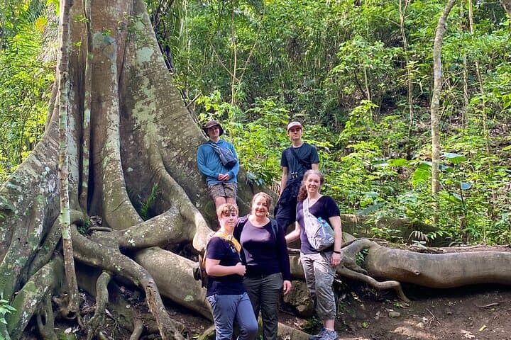Manta Shore Tour: Pacoche Rainforest, Montecristi Hats & Turtle Beaches
