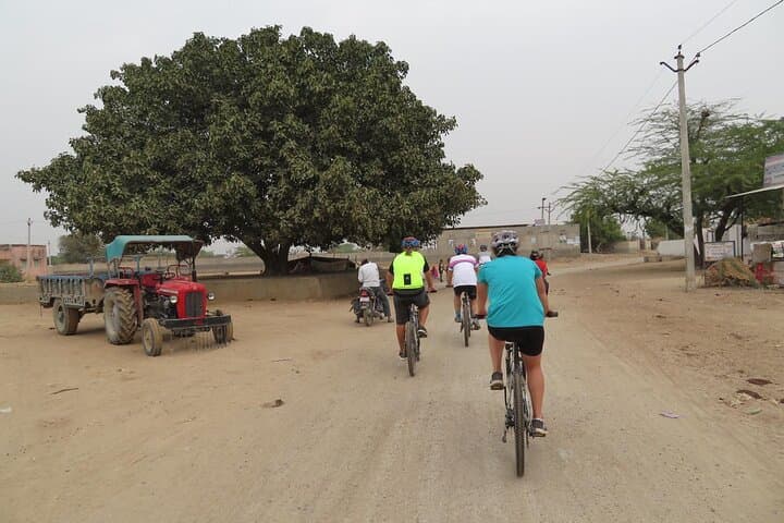 Jaipur Village Cycling Safari: Nahargarh to Samode Palace Morning Ride photo 4
