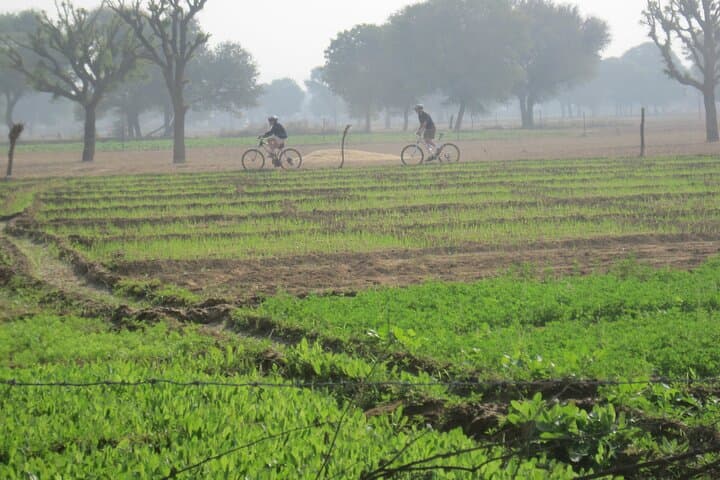 Jaipur Village Cycling Safari: Nahargarh to Samode Palace Morning Ride photo 5