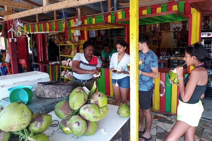 Negril Day Trip: Rick's Cafe, Seven Mile Beach & Farm Herb Tour from Montego Bay photo 5