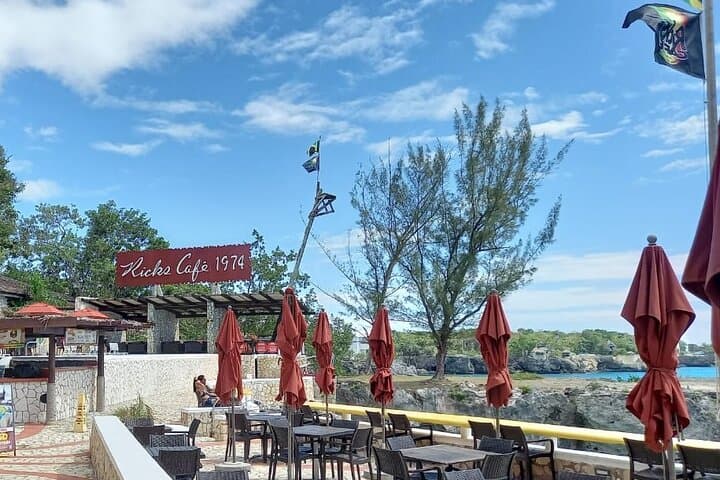 Negril Day Trip: Rick's Cafe, Seven Mile Beach & Farm Herb Tour from Montego Bay photo 3