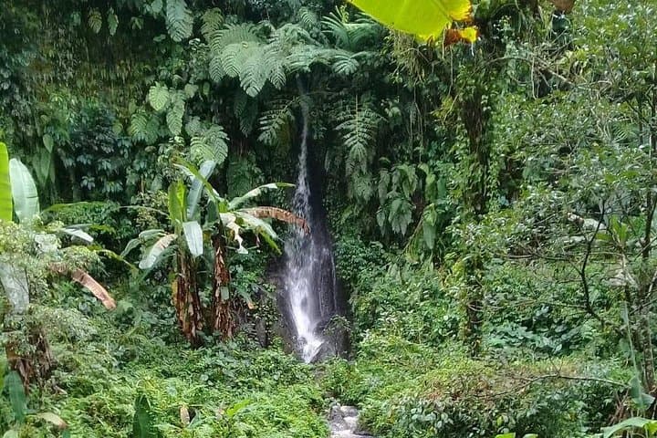 Keliki Village Rice Field Walk: Half-Day Ubud Trek with Local Lunch photo 4