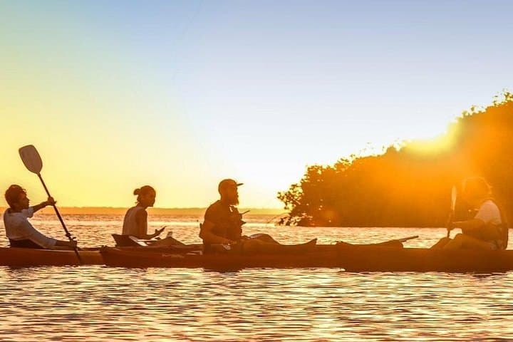 Cancun Lagoon Sunset Kayak Adventure — Nichupté Mangroves at Golden Hour photo 3
