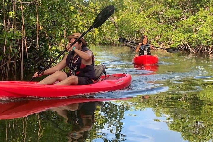 Cancun Lagoon Sunset Kayak Adventure — Nichupté Mangroves at Golden Hour photo 6