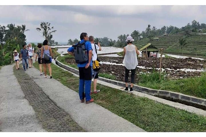 Bedugul Waterfalls, Ulun Danu & Jatiluwih Day Tour from Seminyak photo 6