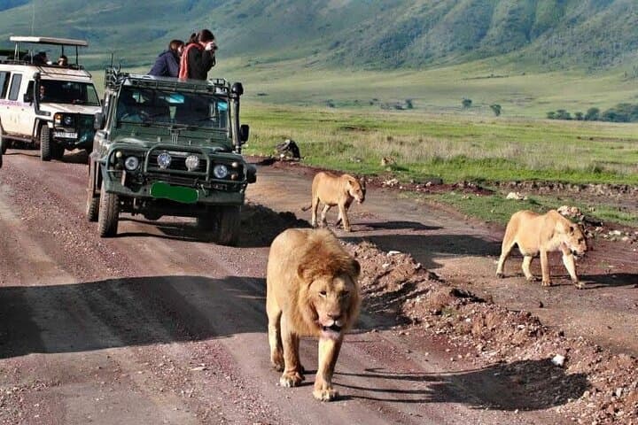 7-Day Kenya Safari: Tsavo West, Amboseli, Lake Nakuru & Masai Mara photo 5