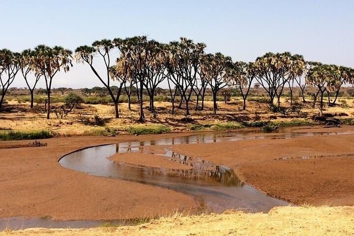 6-Day Samburu, Sweetwaters, Lake Nakuru & Naivasha Safari — Big Five to Flamingos photo 3