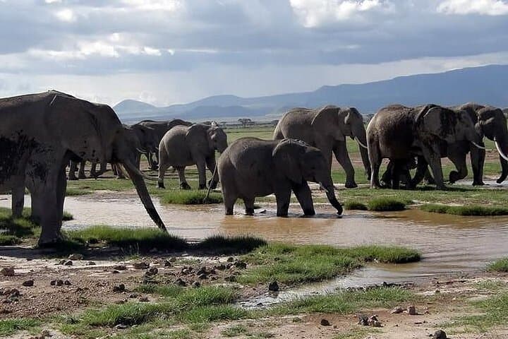 6-Day Samburu, Sweetwaters, Lake Nakuru & Naivasha Safari — Big Five to Flamingos photo 5