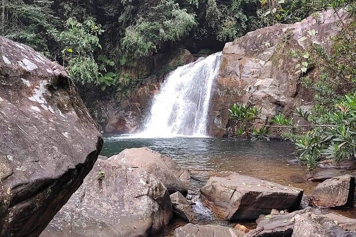 Sinharaja Rainforest Trek: Guided Jungle Hiking Experience from Galle photo 2
