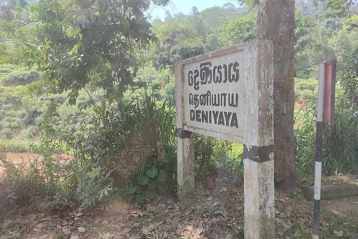 Sinharaja Rainforest Trek: Guided Jungle Hiking Experience from Galle photo 3