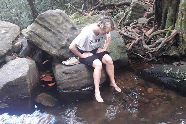 Sinharaja Rainforest Trek: Guided Jungle Hiking Experience from Galle photo 4