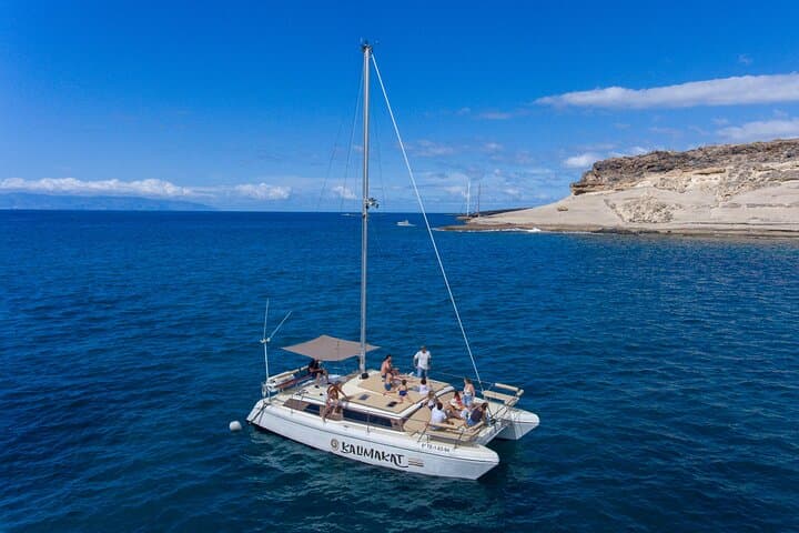 Costa Adeje Catamaran Excursion: 3-Hour Sail to Teide, Snorkel & Whale Spotting