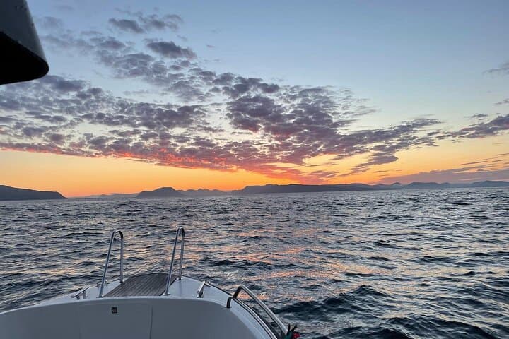 Nólsoy Fishing Expedition from Tórshavn — Cod, Haddock & Puffins on a 4‑Hour Sea Trip photo 5