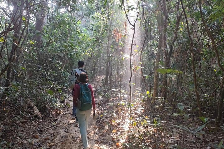 Full-Day Sreemangal Tea Gardens and Madhabpur Lake Hike: Rainforest, Gibbons, and Tea Trails photo 3