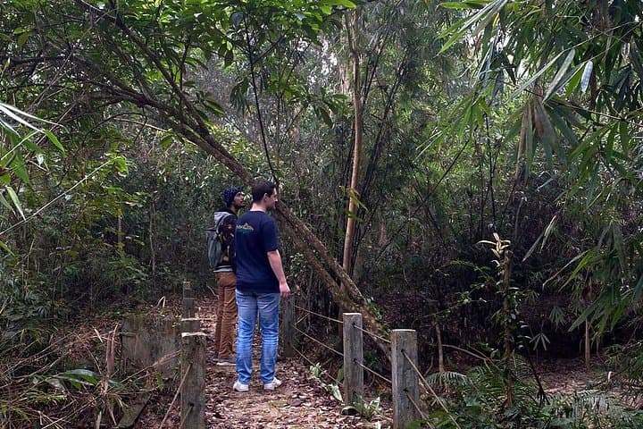 Full-Day Sreemangal Tea Gardens and Madhabpur Lake Hike: Rainforest, Gibbons, and Tea Trails photo 4