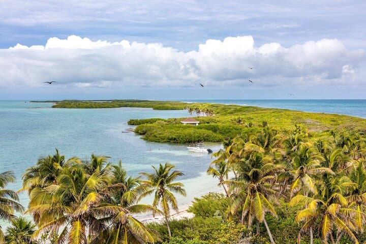 Isla Contoy Day Sail: Snorkel Ixlaché Reef and Lunch on a Protected Island photo 5