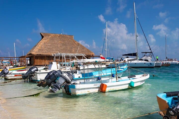 Isla Contoy Day Sail: Snorkel Ixlaché Reef and Lunch on a Protected Island photo 6