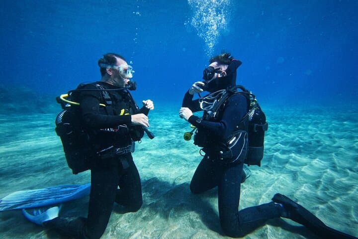 Private Scuba Diving in Tenerife: Beginner-Friendly Atlantic Dives with Photos