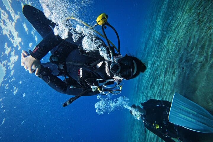 Private Scuba Diving in Tenerife: Beginner-Friendly Atlantic Dives with Photos photo 3