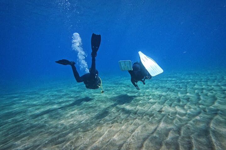 Private Scuba Diving in Tenerife: Beginner-Friendly Atlantic Dives with Photos photo 5