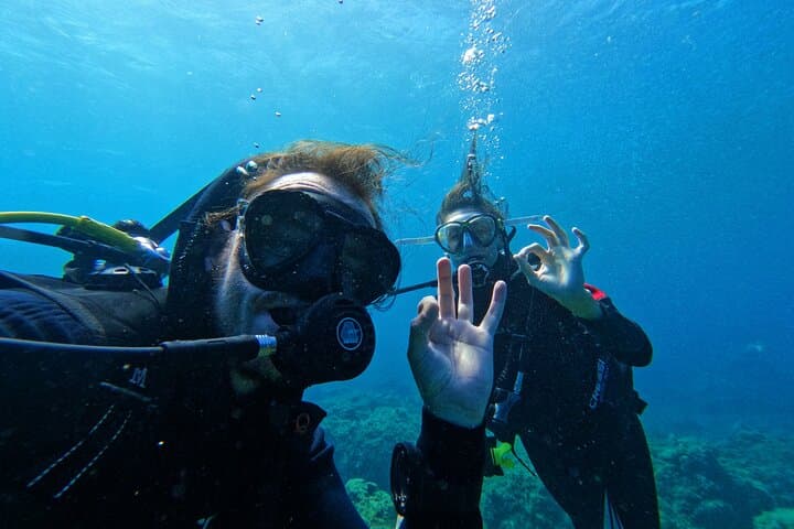 Private Scuba Diving in Tenerife: Beginner-Friendly Atlantic Dives with Photos photo 6