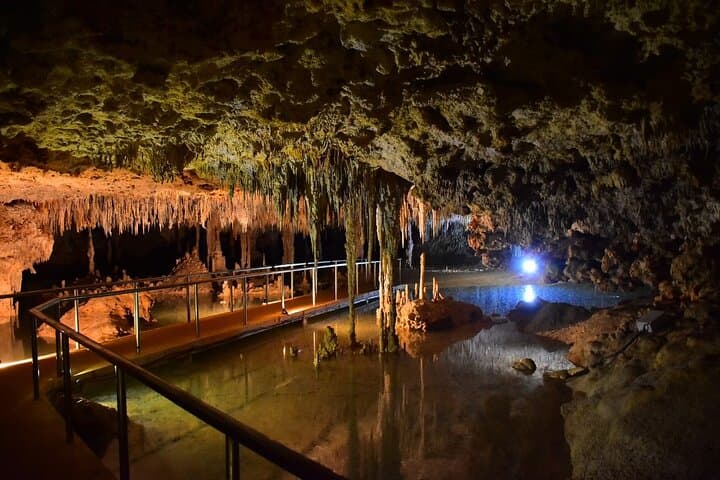Half-Day Río Secreto Plus: Cave Rappel, Ride & Underground River in Playa del Carmen photo 5