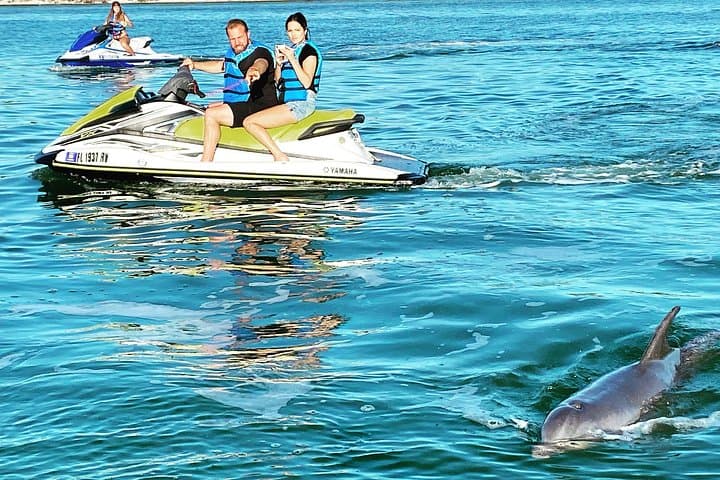 Ten Thousand Islands Jet Ski Eco Tour — Marco Island Mangrove Adventure photo 3