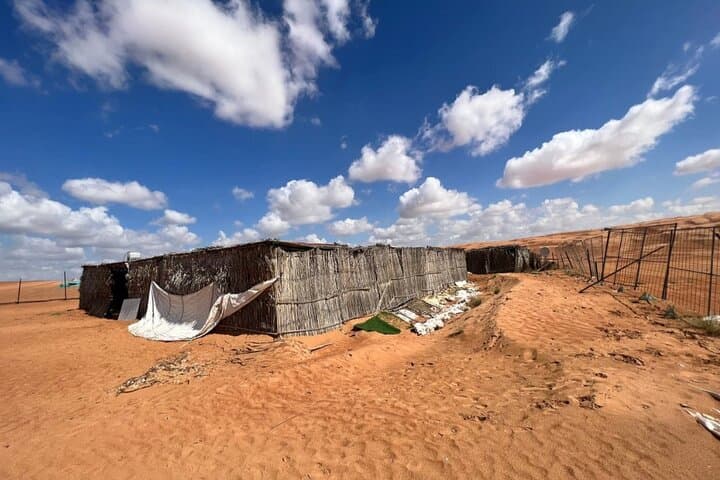 Wahiba Sands & Wadi Bani Khalid: 2-Day Desert Camp and Wadi Swim from Muscat photo 4