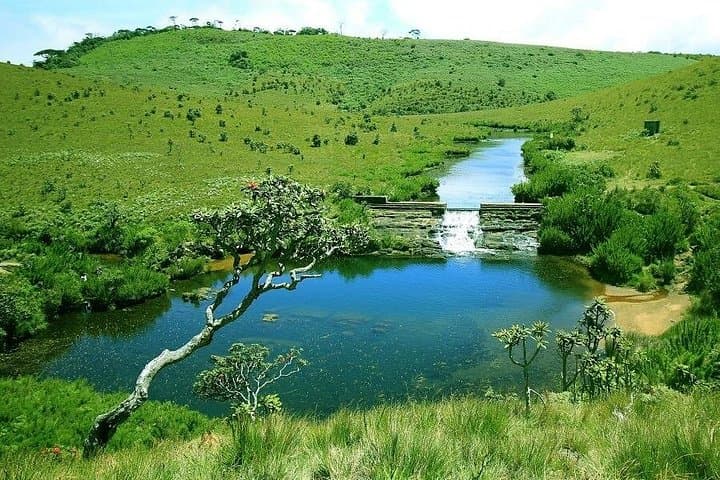 3-Day Kandy to Nuwara Eliya Tea Country Tour from Colombo photo 3