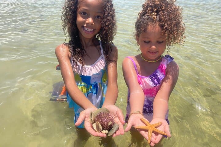 Ten Thousand Islands Shelling & Wildlife Cruise from Marco Island photo 4