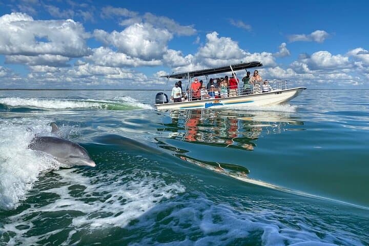 Marco Island Dolphin Sightseeing Tour: 2-Hour Ten Thousand Islands Cruise photo 6