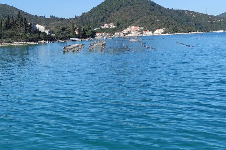 Ston & Pelješac Oyster and Mussel Tasting with Wine: Bay-to-Table Adriatic Experience photo 3
